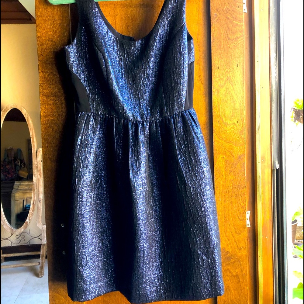 Precious party or wedding guest dress!  NWT…size 4